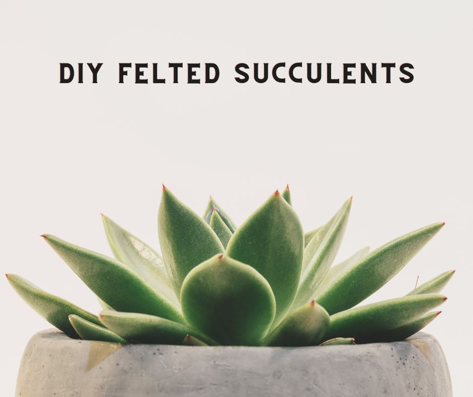 diy felted succulents