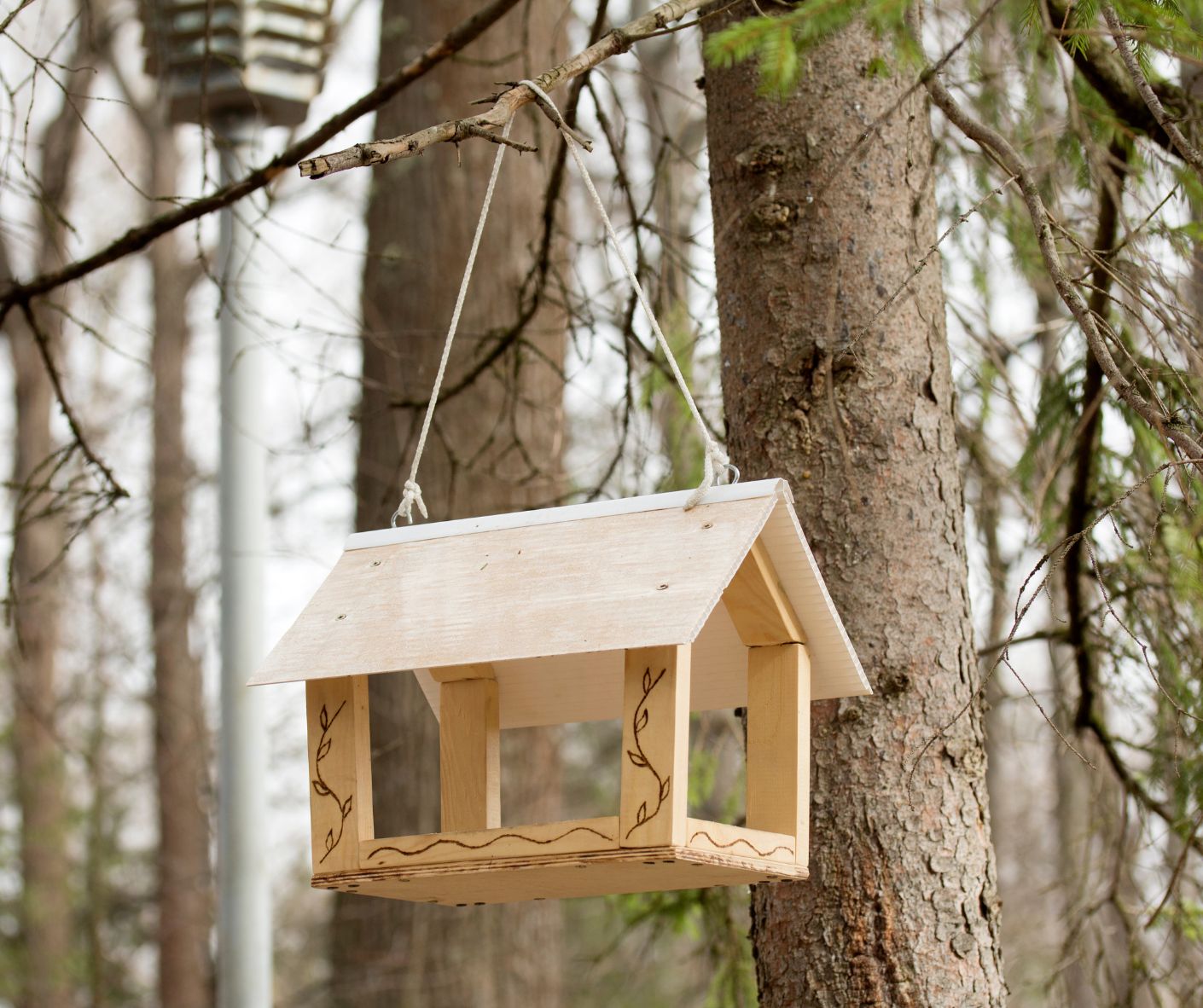 build a bird house