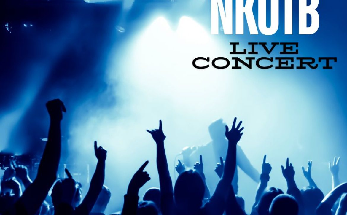 nkotb concert