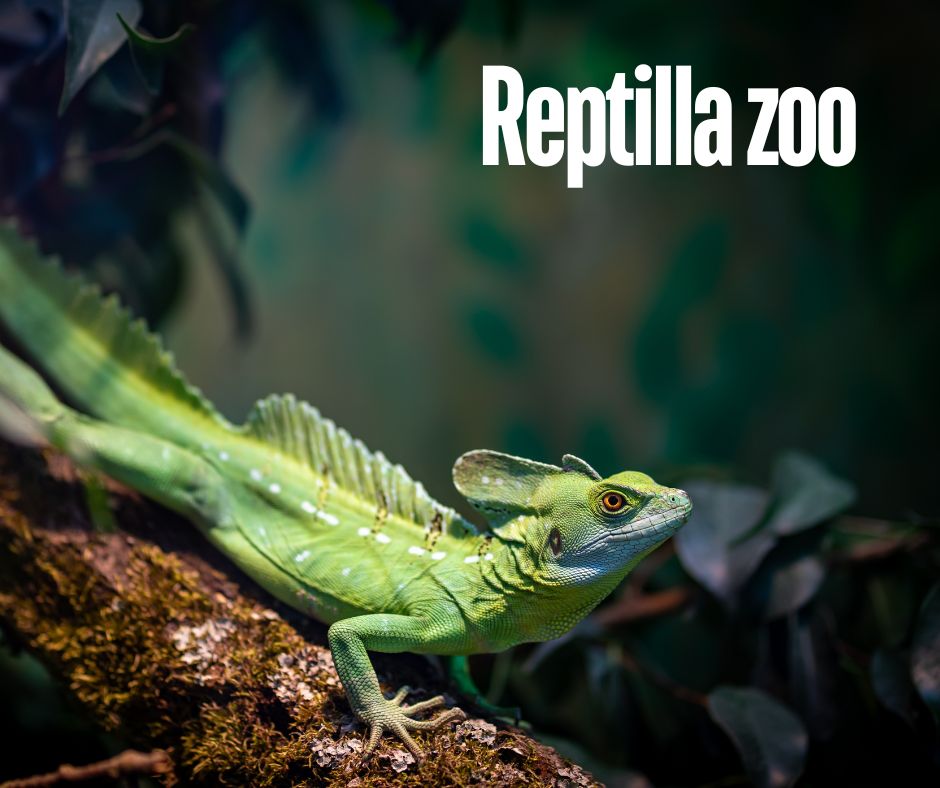 reptile zoo