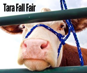 tara fall fair