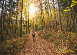 fall hikes