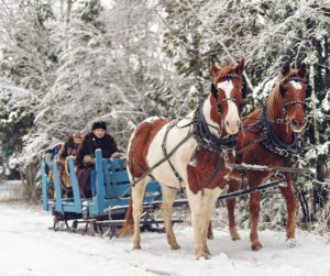 sleigh ride