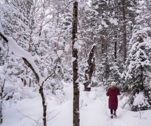 winter walk